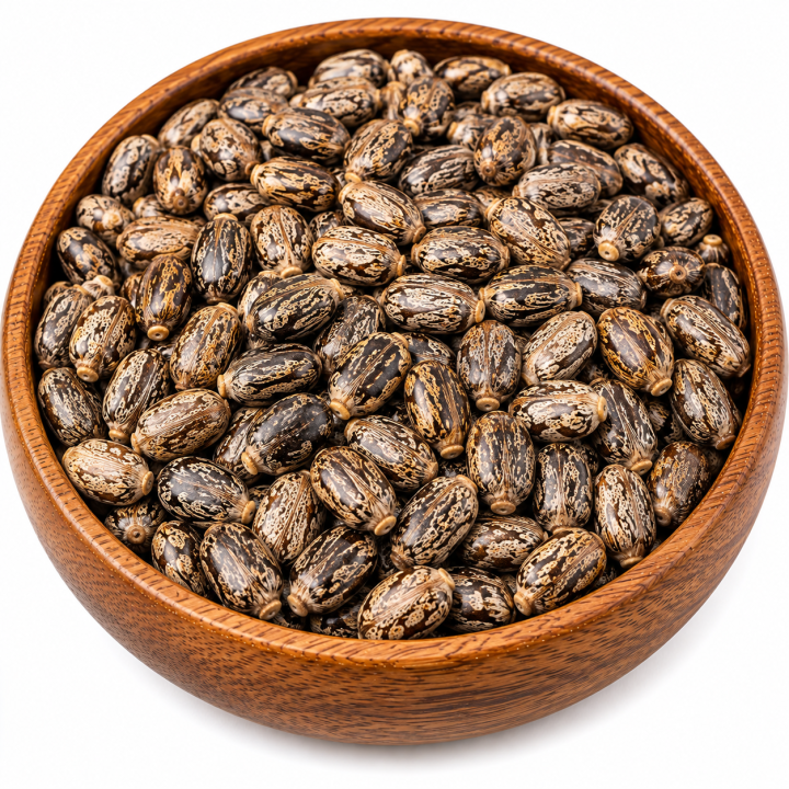 Castor Seeds