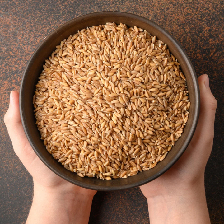 Wheat